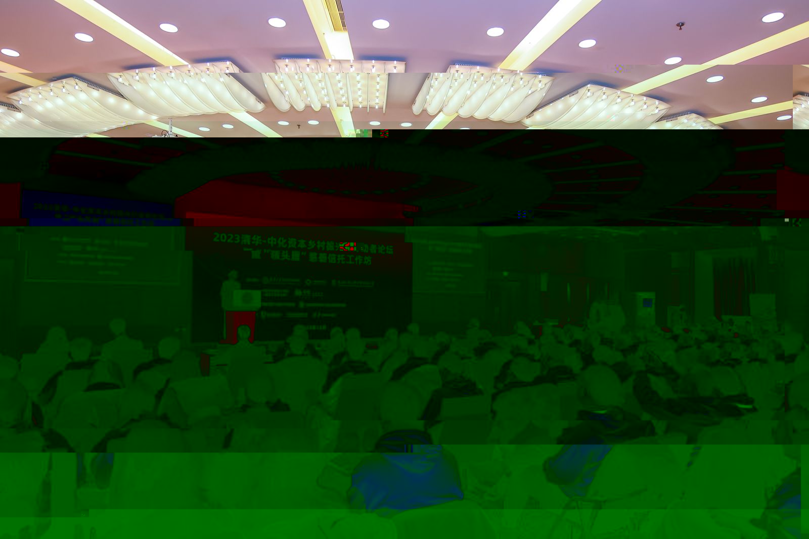 20231222-領頭雁-社科-陳德春.jpg